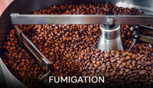 Nitrogen and fumigation of rice and seeds